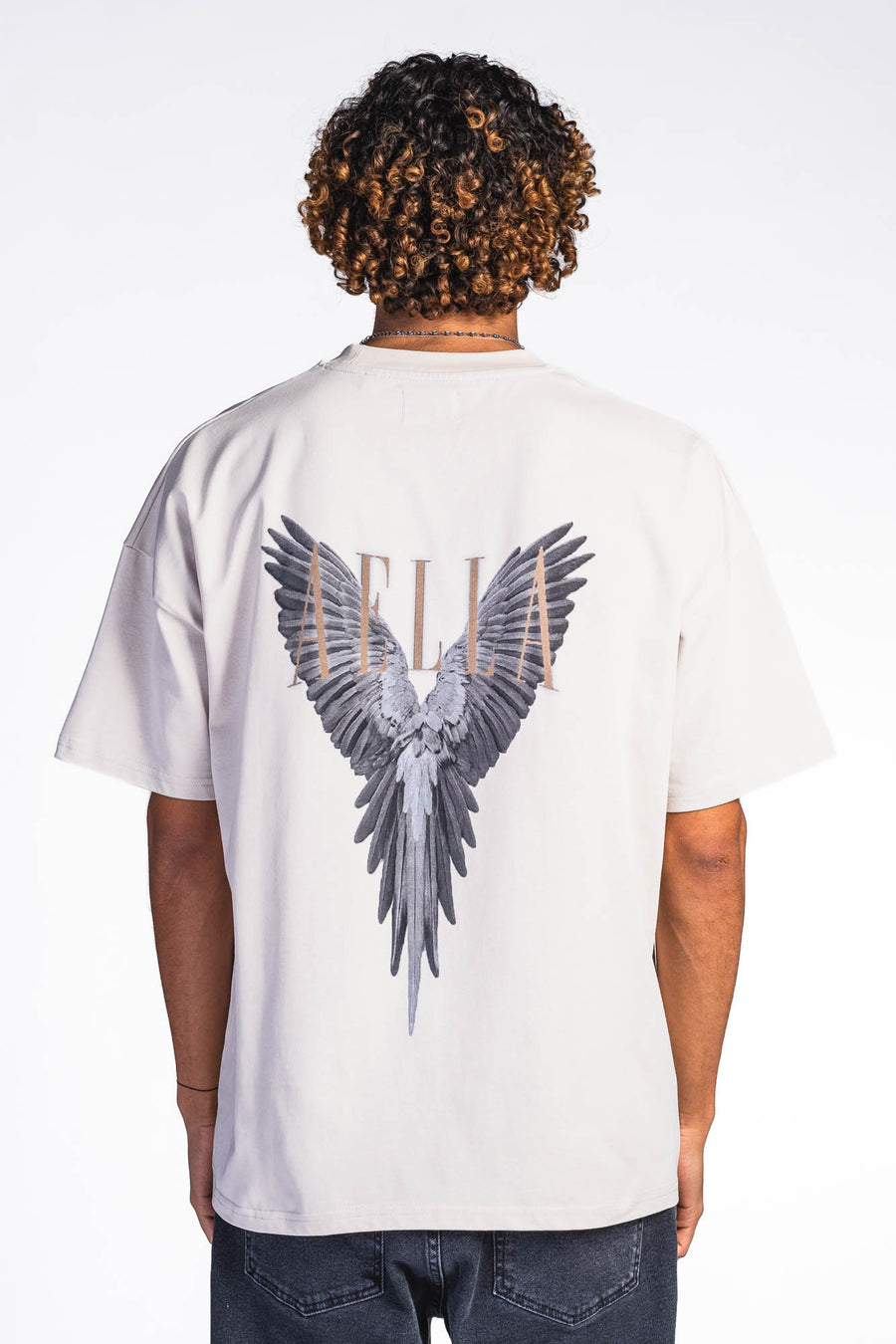 The Birds Heavy Oversized T-Shirt Sand