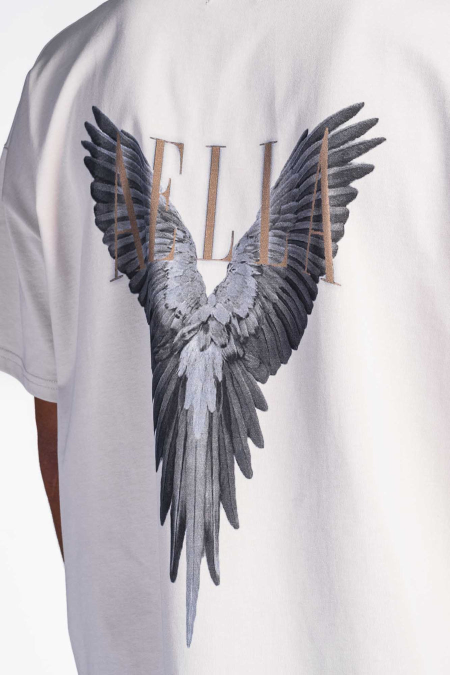 The Birds Heavy Oversized T-Shirt Sand